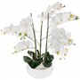 Atmosphera - Orchidée Artificielle - Pot céramique Blanc H65 cm