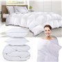 IDMarket - Couette 220x240 CM AELA en Plume d'oie Anti acarien 500 GR + 2 oreillers