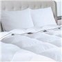 IDMarket - Couette 240x260 CM AELA en Plume d'oie Anti acarien 500 GR + 2 oreillers