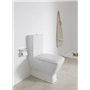 LAUFEN Siège de WC Palace avec Couvercle sans Soft Close Amovible Blanc - H8917003000001