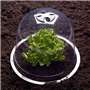 IDMarket - Cloche à salades x12 Serre de Protection pour Plants