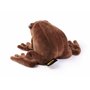 Peluche et Coussin Harry Potter Chocogrenouille
