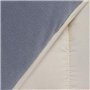IDMarket - Couette 220x240 CM Zoe Polaire biface Gris et crème 400 GR