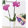 Fertiligène FHYD3 Spray Hydratant Orchidées et Toutes Plantes 300 ml - Actions 3 en 1 - Fabriqué en France
