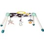 Taf Toys - 12525 - Portique mini lune