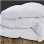 IDMarket - Couette 220x240 CM AELA Blanche en Plume d'oie Anti acarien 500 GR