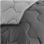 IDMarket - Couette 200x200 CM Abby Bicolore Gris Clair et Gris 300 GR