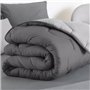 IDMarket - Couette 140x200 CM Abby Bicolore Gris Clair et Gris 300 GR