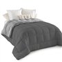 IDMarket - Couette 220x240 CM Zoe Polaire biface Gris Clair et Gris 400 GR