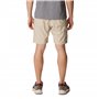 Short cargo Columbia Silver Ridge Utility pour homme