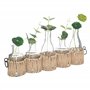 Atmosphera - Set de 5 soliflores - Verre - H29-5 cm