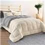 IDMarket - Couette 140x200 CM Zoe Polaire biface Gris et crème 400 GR