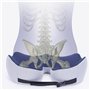 GD IMPORT Coussin Ergonomique en Mousse à Mémoire de Forme – Soulagement du Coccyx et de la Sciatique – Confort et Maintien Opti