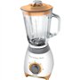 Blender - Sencor - SBL 4370
