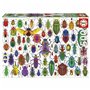 Puzzle Educa Beetles