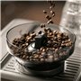 Cafetière superautomatique Sage SES880BTR4EEU1 Noir Acier 1680 W 2 L 250 g
