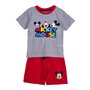 CERDÁ LIFE'S LITTLE MOMENTS Combinaison d'Été pour Garçon Costume pour Enfant en 2 pièces (t-Shirt + Short) -100% Coton imprimé