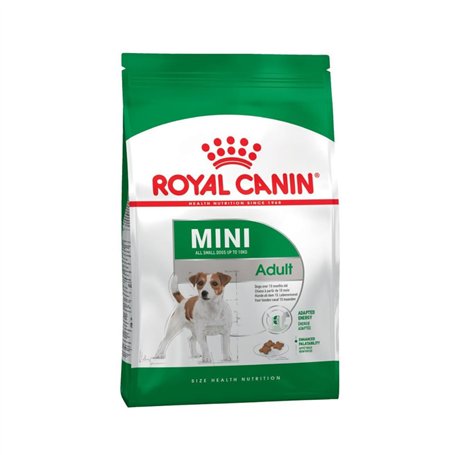 Royal Canin Mini Adult | 4 kg | Aliment Complet pour Chiens de Petites Races | Acides Gras oméga-3 pour la Peau et Le Pelage | T