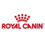 Royal Canin Mini Adult | 4 kg | Aliment Complet pour Chiens de Petites Races | Acides Gras oméga-3 pour la Peau et Le Pelage | T