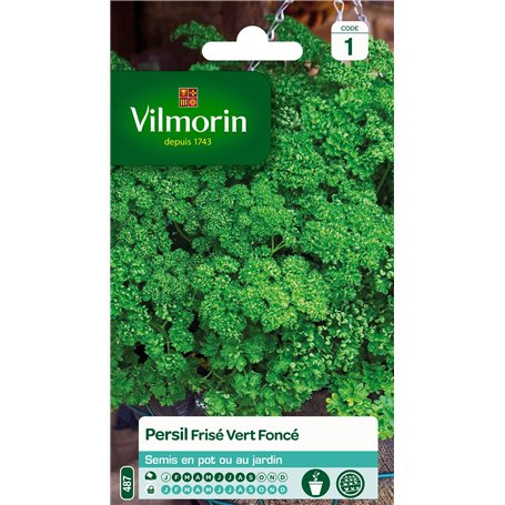 VILMORIN - Persil frisé Vert foncé - Aromatique incontournable- Culture en Pot ou Jardin - apports nutritifs intéressants -Cultu