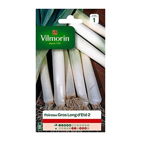 Poireau Gros Long D'Eté