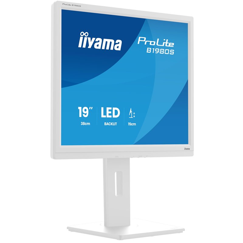 iiyama Moniteur de Bureau, B1980S-W1-19, TN, 1280 x 1024/75 Hz, 1H1DP, Has