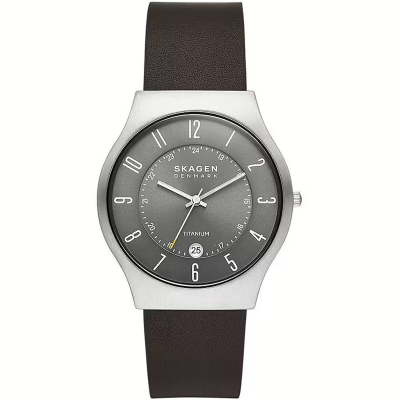 Montre Homme Skagen SUNDBY TITANIUM (Ø 40 mm)