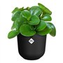Pot de fleur - Elho - Jazz Rond - Noir - Ø 26 x H 24 cm - Intérieur - 100% recyclé