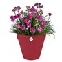 Pot de fleur - Elho - Loft Urban Rond - Roues 50 - Rouge - L 49 x B 48.5 x H 45 cm - Extérieur - 100% recyclé