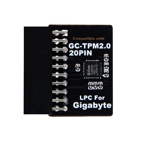 NewHail Module TPM2.0 LPC 20 broches avec Infineon SLB9665 pour carte mère Gigabyte compatible avec GC-TPM2.0
