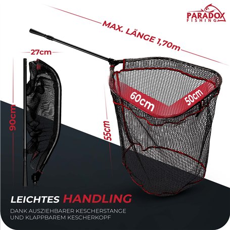 Colliers de Serrage en Acier Inoxydable