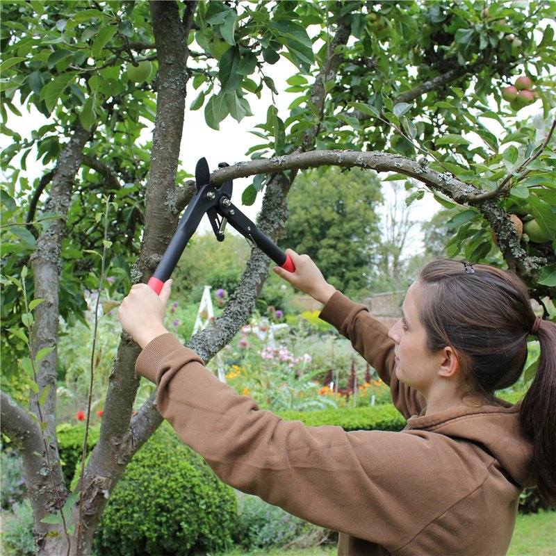 Top Chargeur ® Adaptateur Secteur Alimentation Chargeur 5V pour Tablette Lexibook Ultra 3 XL MFC191FR MFC191