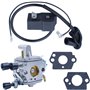 Adefol Carburateur et Bobine d'allumage pour Stihl FS120 FS200 FS250 FS300 FS350 Debroussailleuse