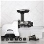 Omega Extracteur de jus CNC82 - Compact Juicer | OMEGA, 200-Watt, Gris
