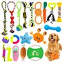 HEPAZ Jouets pour Chien