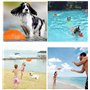 WENYIEN 3 Pièces Frisbees pour Chien,Pet Soucoupe Volante,Disque Volant en Caoutchouc, Jouet interactif en Plein air,7 Pouces / 