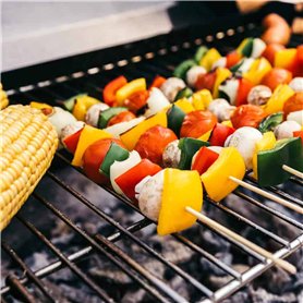 WiTi Caméra IP PoE 5MP, caméra de Surveillance avec Microphone Audio, Objectif Grand Angle 2.8 mm, détection de Mouvement,métal 