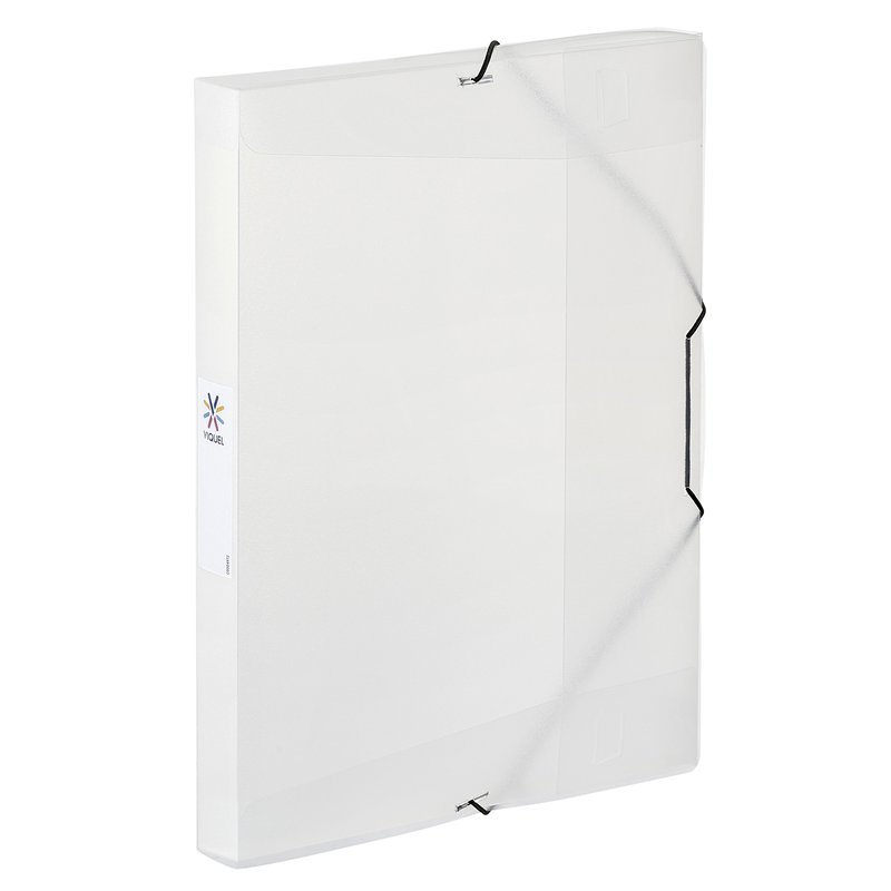Viquel - Chemise plastique à élastiques - Boite de classement format A4 - Etiquette d'identification sur le côté - Fabriqué en F