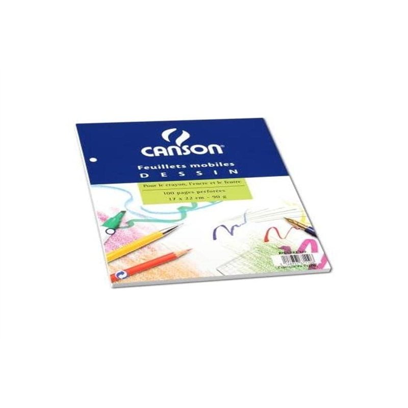 CANSON 39952 Feuillet Mobile A4 210x 297mm Papier Dessin Grain 100p Perfore Assorties