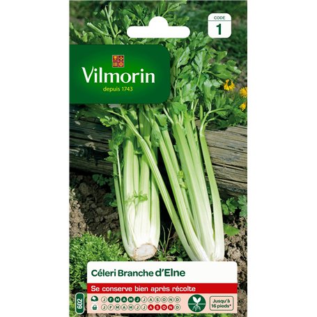 VILMORIN - Céléri Branche d'Elne - Fort rendement - Peu calorique et diététique - Excellente qualité gustative - côtes Rondes et
