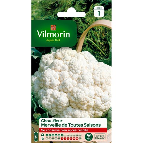 Vilmorin 3353141 Chou Fleur Merveille