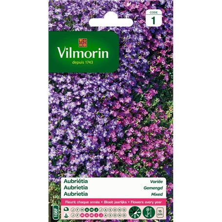 Vilmorin- Aubriéta en mélange - semences pour plantations - Fleurs Basses 15 cm vivaces - fleurit Chaque année - Floraison préco