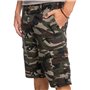 Quiksilver Homme Shorts de skateboard, Camo Print Crucial Battle, 31
