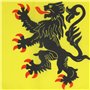 AZ FLAG - Drapeau Nord-Pas-de-Calais - 45x30 cm - Pavillon Province Flandre Française 100% Polyester Avec Deux Cordelettes - 20g