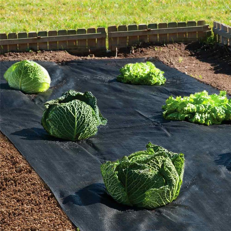 Image secondaire de TERRE JARDIN - Toile de Paillage, 10 x 1 m, 90 g/m² – Geotextile Anti Repousse - Bâche Géotextile Anti-Mauvaises Herbes – Tissu