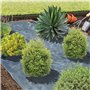 TERRE JARDIN - Toile de Paillage, 10 x 1 m, 90 g/m² – Geotextile Anti Repousse - Bâche Géotextile Anti-Mauvaises Herbes – Tissu