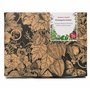 Plantes du monastère - Coffret cadeau de semences avec 11 herbes médicinales traditionnelles