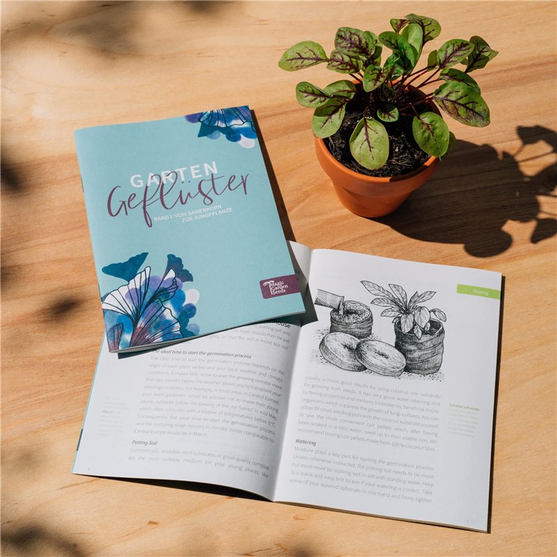 Image secondaire de Plantes du monastère - Coffret cadeau de semences avec 11 herbes médicinales traditionnelles