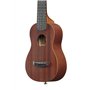 Ibanez UKS100-OPN Ukulélé soprano 4 pièces avec étui de transport