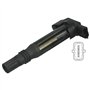 Delphi Technologies GN10583-12B1 Bobine D'Allumage